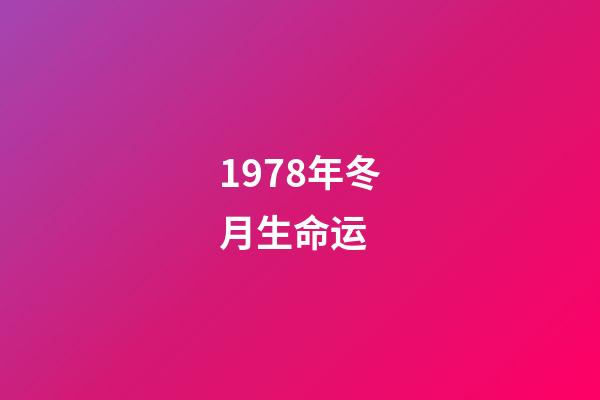 1978年冬月生命运 (1978年3月生命运)